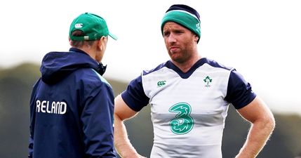 Luke Fitzgerald had a stand-up row with Joe Schmidt before the Argentina defeat