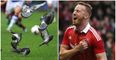 Unfortunate pigeon delays Adam Rooney and Jonny Hayes’ Europa League adventures