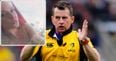 Nigel Owens was offered a glimpse at nude breasts on Twitter and had a priceless response