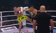 This brutal 12-second knock-out saw American kickboxer fall like an axed tree