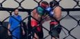 WATCH: Conor McGregor spars with six-time All-Ireland champion boxer Conor Wallace in preparation for Nate Diaz rematch