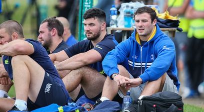 Leinster have issued an injury update that is almost two pages long