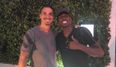 Paul Pogba and Zlatan Ibrahimovic already have a serious bromance brewing at Manchester United