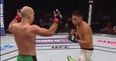 WATCH: Artem Lobov took a page out of the Diaz brothers’ book in victory over Chris Avila