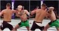 WATCH: Conor McGregor delivers best possible response to Stockton Slap