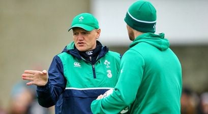 Joe Schmidt will have enjoyed the performances of two returning Irish stars in particular