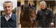 WATCH: Early starts and many gallops – a day in the life of a trainer preparing for Longines Irish Champions Weekend