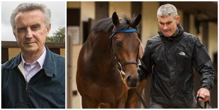 WATCH: Early starts and many gallops – a day in the life of a trainer preparing for Longines Irish Champions Weekend