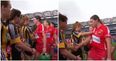 WATCH: Handshakes turn to handbags as tensions simmer before camogie final