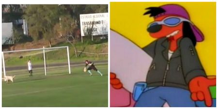 WATCH: Chile dog makes casual goal-line clearance