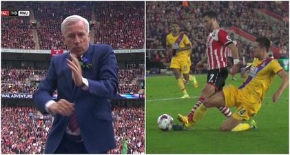 Shane Long might be due an apology from Alan Pardew