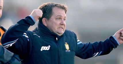 Courageous Davy Fitzgerald proves once and for all that he is stone mad for hurling