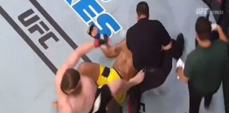 Roy Nelson’s staring down the barrel of a hefty punishment for kicking referee John McCarthy