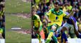 WATCH: Wes Hoolahan scored the most Wes Hoolahan goal possible today