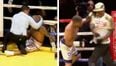 Former world champion brutally KOs his opponent and then has a punch-up with his trainer