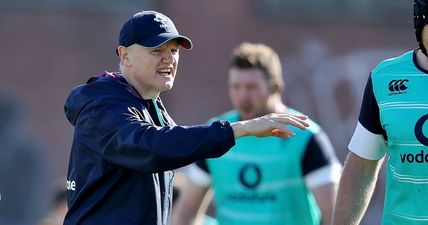 Joe Schmidt explains reasons behind his team to face New Zealand