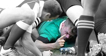 Ireland have beaten the All Blacks and nobody can quite believe it