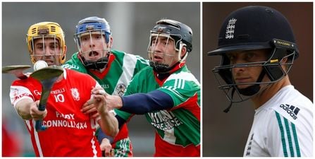 England international cricketers turn to hurling to improve their technique