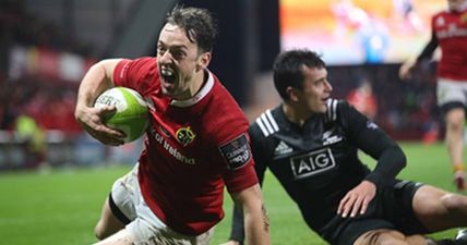 Why Darren Sweetnam has shown all the attributes to be a perfect Joe Schmidt winger