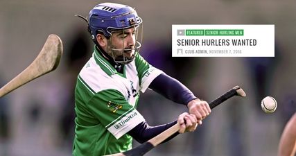 Dublin club advertise for senior hurlers and they make quite a pitch