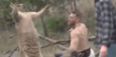 WATCH: Conor McGregor brutally beating dog-hating kangaroo makes us grateful for the internet’s existence