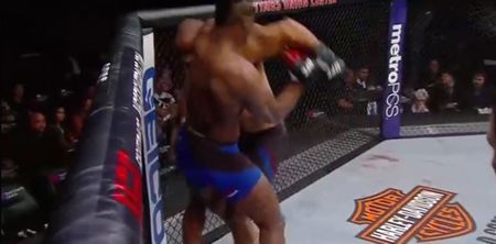 WATCH: UFC’s scariest heavyweight prospect Francis Ngannou scores another quick finish