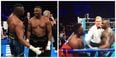 People think Dereck Chisora tried to hump Dillian Whyte’s head during their fight