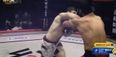 WATCH: MMA fighter callously uses cheap shot to score brutal three-second knockout