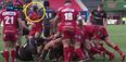 WATCH: A lot of rugby fans are accusing James Davies of diving after being slapped in Champions Cup