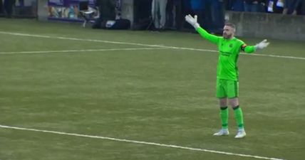 There was a hugely controversial goal in the Irish Cup on Saturday