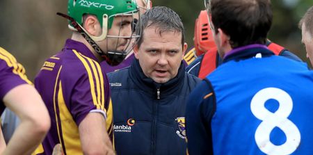 “They must think we’re some eejits” – Damien Hayes on Davy Fitzgerald’s Wexford exile