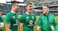 Andrew Trimble evocatively describes dressing room scene after Ireland beat New Zealand