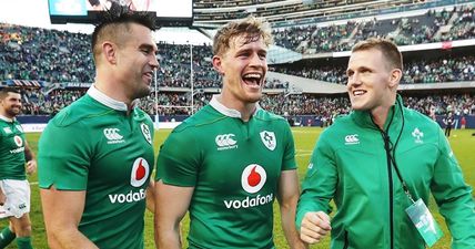 Andrew Trimble evocatively describes dressing room scene after Ireland beat New Zealand