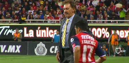 WATCH: Argentine manager receives red card for incredibly idiotic act