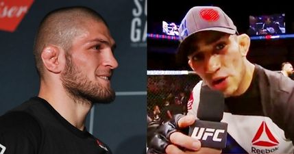 Khabib Nurmagomedov and Tony Ferguson only needed 32 minutes to make us (briefly) forget Conor McGregor