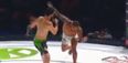 WATCH: Unlucky former UFC fighter loses via extremely rare one-punch finish