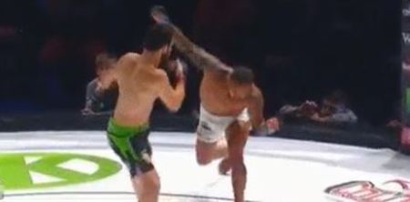 WATCH: Unlucky former UFC fighter loses via extremely rare one-punch finish