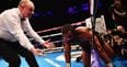 WATCH: David Haye saved by corner late on as Tony Bellew’s hand is raised in London