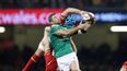 No-one could believe just what was happening during the Wales and Ireland match