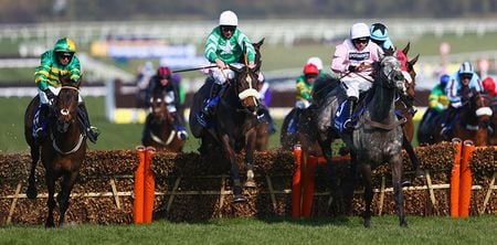 Your top tips for the opening day of Cheltenham from Hayley O’Connor of Ladbrokes