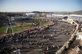 These are the tips you need for Day 3 of Cheltenham