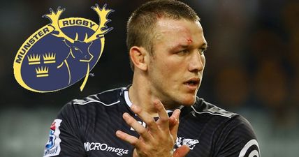 Munster have made an absolute gem of a signing for the rest of the season