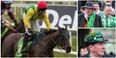 Here are the horses you should be backing on final day of Cheltenham Festival