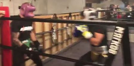 WATCH: UFC star sparring with arguably the greatest boxer in the world is in equal parts amazing and frustrating