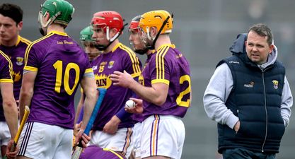 LISTEN: Davy Fitzgerald can do whatever he likes with the Wexford hurlers right now