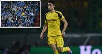 Borussia Dortmund player takes to Twitter in attempt to find fan