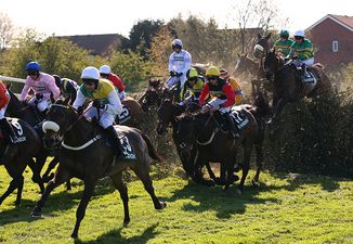 If all 40 Grand National horses were well known sportspeople, they’d be…