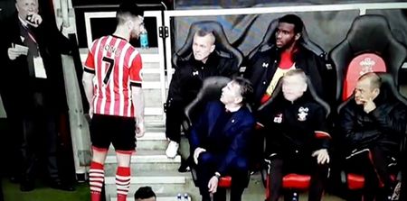 WATCH: Shane Long was seriously pissed off as he got taken off just 20 minutes after coming on