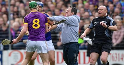 Revisiting Davy Fitzgerald’s pitch invasion and heated altercation with Tipperary players