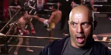 Joe Rogan calls promotion out as complete mismatch ends exactly as brutally as everyone expected